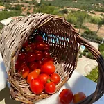 Aparthotel Lithies Sea View Boutique 4*