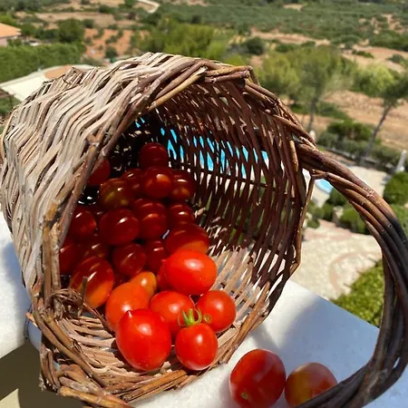 Apartahotel Lithies Sea View Boutique 4*